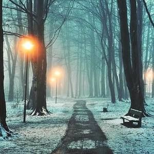 Meet your Posher, Bonnie